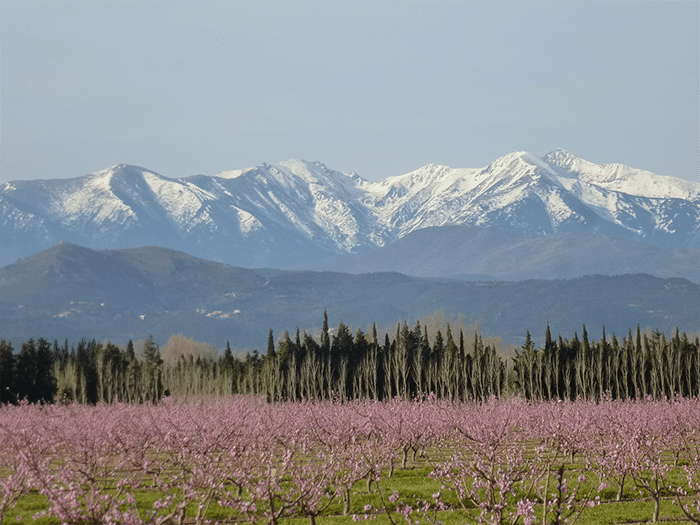 Un centre de données au centre des territoires adamentis Canigou